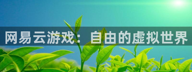 杏悦2平台官网