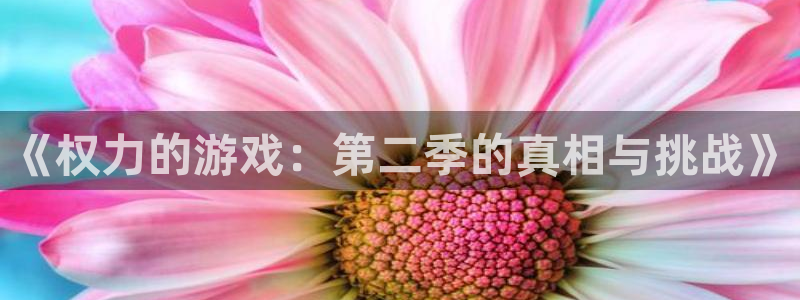 杏悦2旧版本下载：《权力的游戏：第二季的真相与挑战》