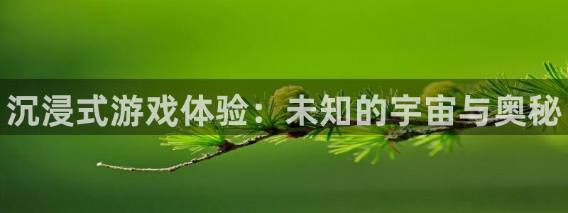 杏悦2平台主管探索无限空间