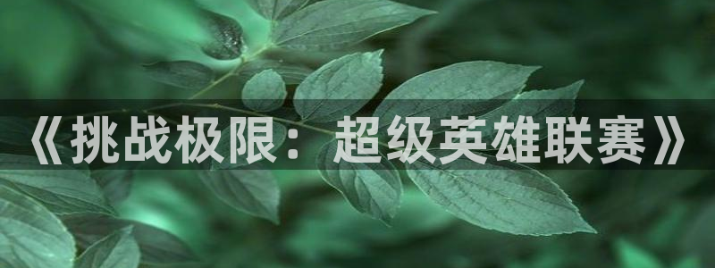 杏悦2注册官网：《挑战极限：超级英雄联赛》