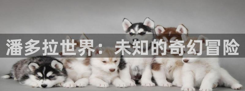 杏悦2手机客户端下载