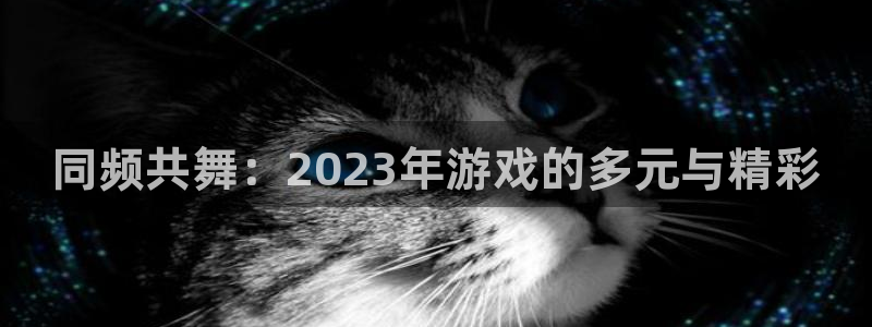 杏悦2娱乐登录：同频共舞：2023年游戏的多元与精彩