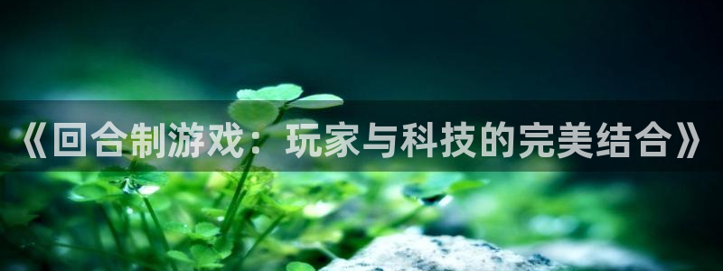 杏悦2网页登录入口：《回合制游戏：玩家与科技的完美结合》