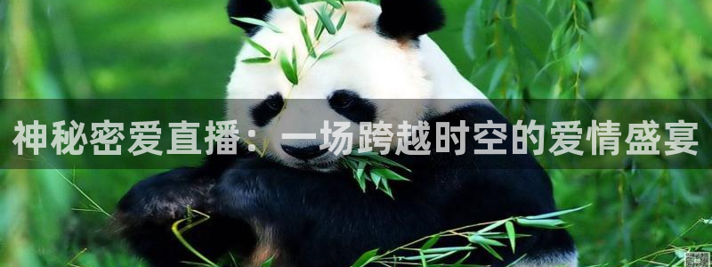 绿茵体育直播免费观看