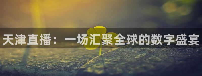 nba绿茵免费直播：天津直播：一场汇聚全球的数字盛宴