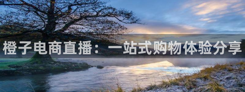绿茵直播体育app下载：橙子电商直播：一站式购物体验分享