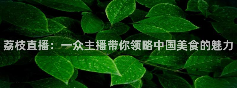 绿茵直播体育app下载安装最新版：荔枝直播：一众主播带你领略中国美食的魅力