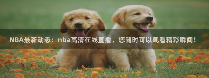 足球直播绿茵体育：NBA最新动态：nba高清在线直播，您随时可以观看精彩瞬间！