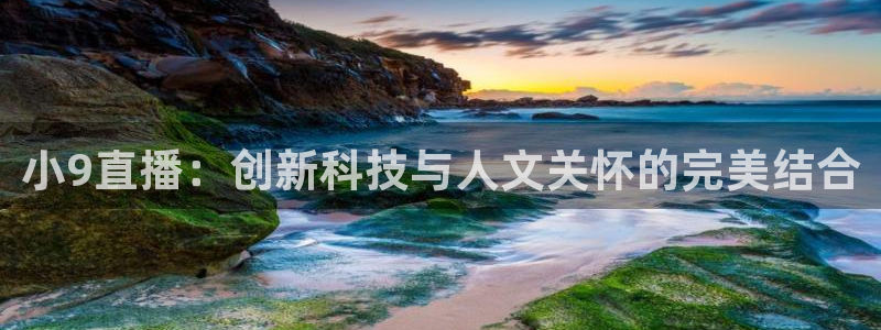 nba绿茵免费直播：小9直播：创新科技与人文关怀的完美结合