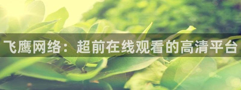 绿茵足球吧：飞鹰网络：超前在线观看的高清平台