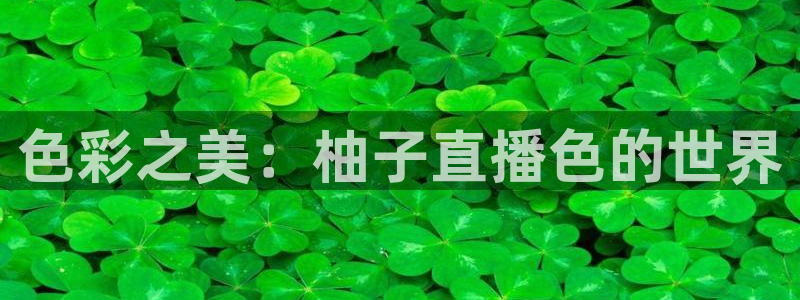 nba直播绿茵直播：色彩之美：柚子直播色的世界