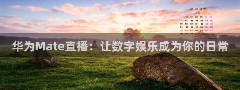 nba绿茵直播：华为Mate直播：让数字娱乐成为你的日常